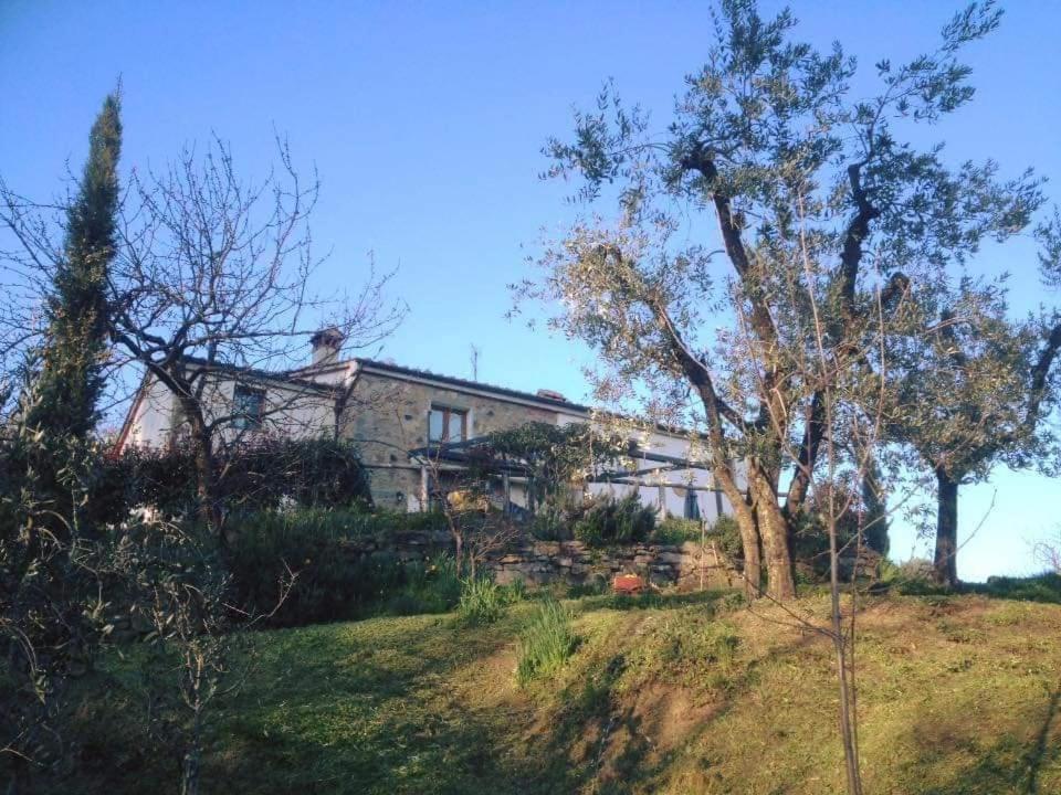 Agriturismo Menghino Nievole Bagian luar foto