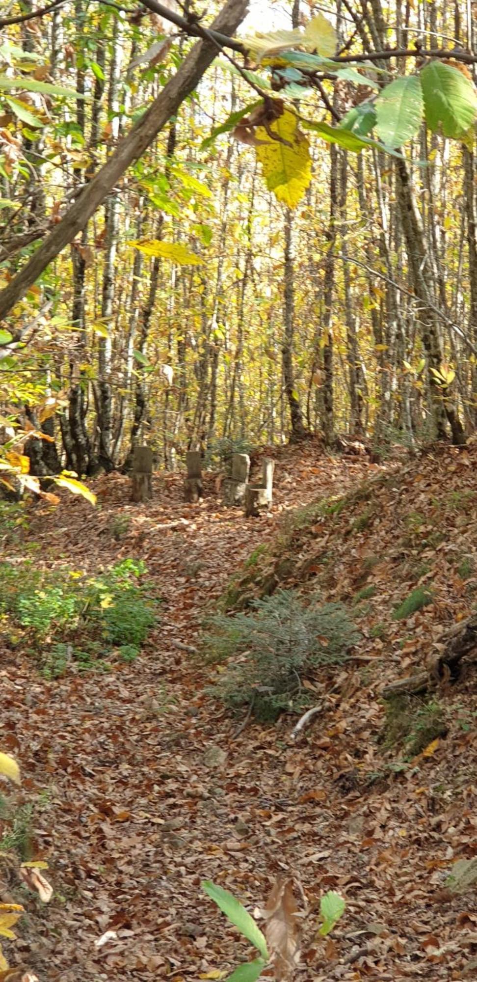 Agriturismo Menghino Nievole Bagian luar foto